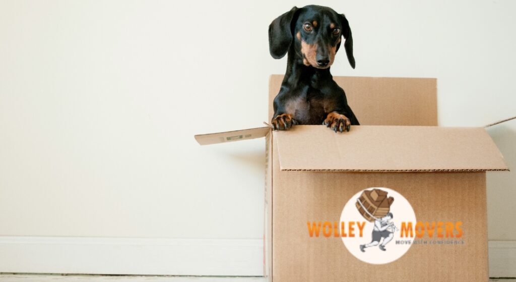 How to pack a moving truck