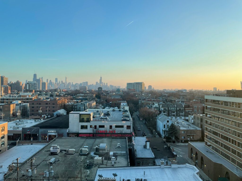 Lincoln Park Movers Wolley Movers